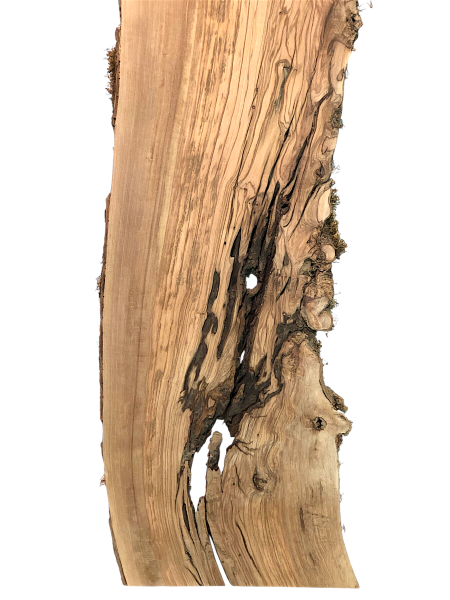 Wilde und urige Olivenholzplatte mit einzigartigem Charakter, perfekt für kreative Epoxidharz-Projekte und handwerkliche Anwendungen.