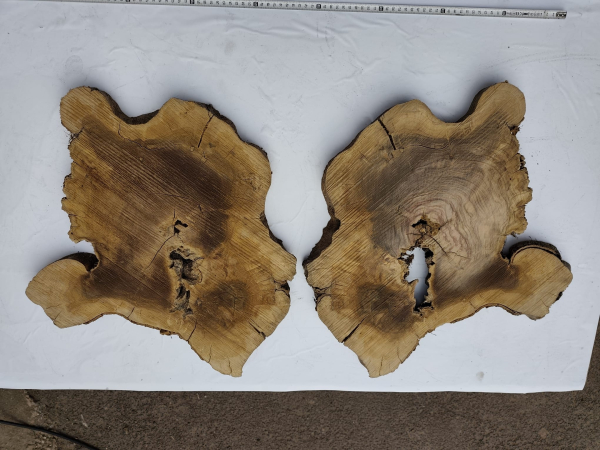 2 Olivenholz Baumscheiben Zwillinge 40x50x3cm TROCKEN