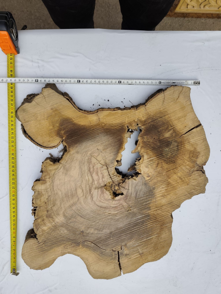 2 Olivenholz Baumscheiben Zwillinge 40x50x3cm TROCKEN