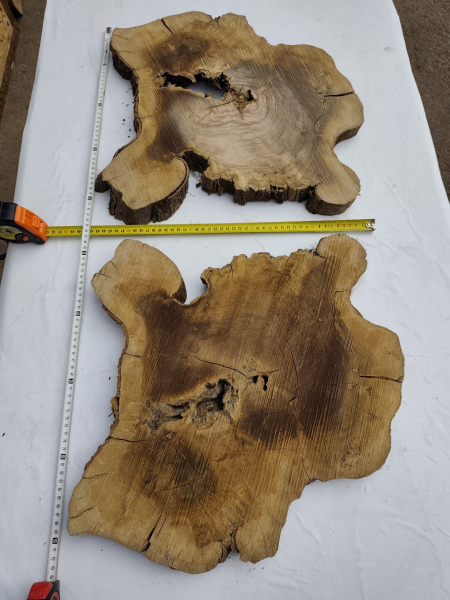 2 Olivenholz Baumscheiben Zwillinge 40x50x3cm TROCKEN