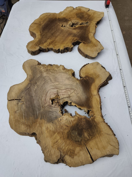 2 Olivenholz Baumscheiben Zwillinge 40x50x3cm TROCKEN