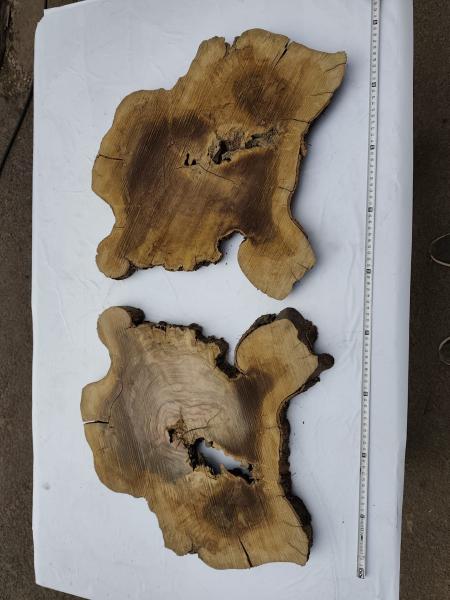 2 Olivenholz Baumscheiben Zwillinge 40x50x3cm TROCKEN