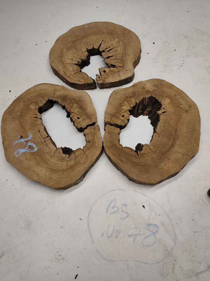 3er Set TROCKENE OLIVENHOLZ BAUMSCHEIBEN mit Loch für Epoxidharz Projekte Nr. 78