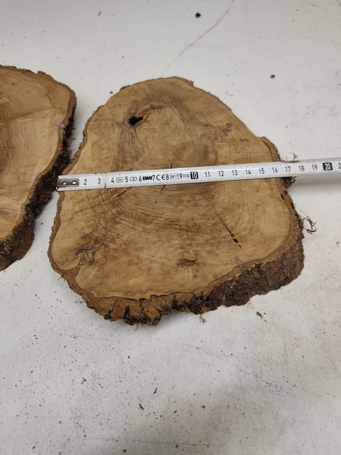4 trockene Olivenholz Baumscheiben - 2 Zwillinge - voll massiv Nr. 79