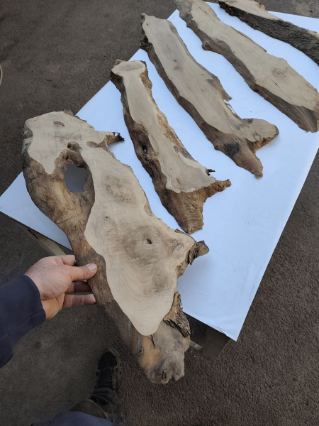 5er Set Olivenholzbretter – Trockenes Olivenholz für Moosbilder & Epoxidharz