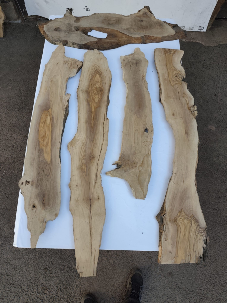 5er Set Olivenholzbretter – Trockenes Olivenholz für Moosbilder & Epoxidharz