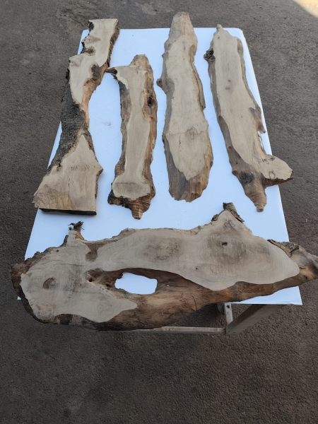 5er Set Olivenholzbretter – Trockenes Olivenholz für Moosbilder & Epoxidharz