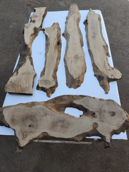 5er Set Olivenholzbretter – Trockenes Olivenholz für Moosbilder & Epoxidharz