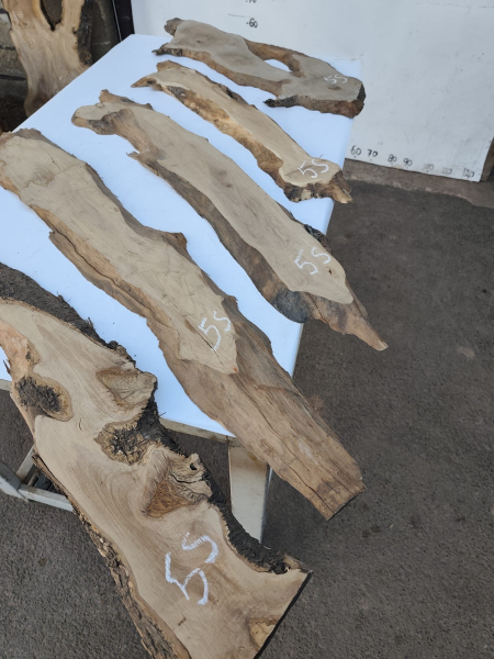 5er Set Olivenholzbretter – Trockenes Olivenholz für Moosbilder & Epoxidharz