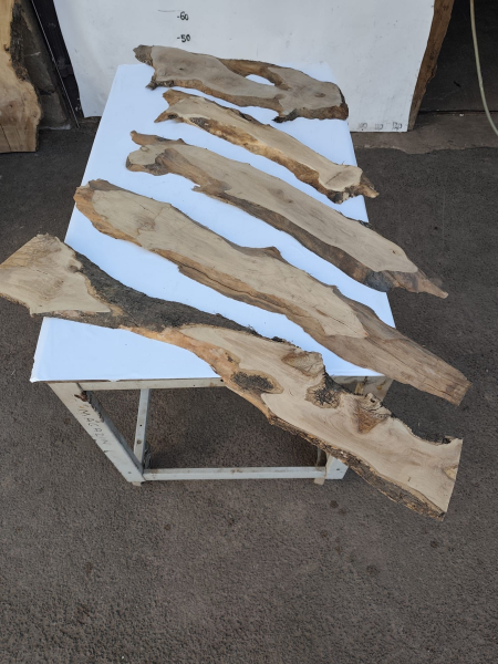 5er Set Olivenholzbretter – Trockenes Olivenholz für Moosbilder & Epoxidharz