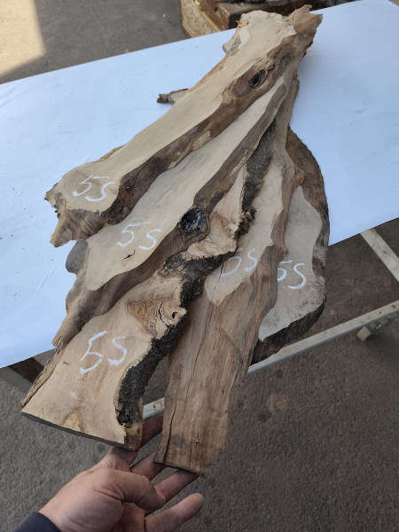 5er Set Olivenholzbretter – Trockenes Olivenholz für Moosbilder & Epoxidharz