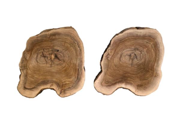 2 massive Olivenholz Baumscheiben – Vorgehobelte und luftgetrocknete Olivenholz Querschnitte