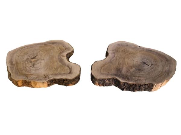 2 massive Olivenholz Baumscheiben – Vorgehobelte und luftgetrocknete Olivenholz Querschnitte