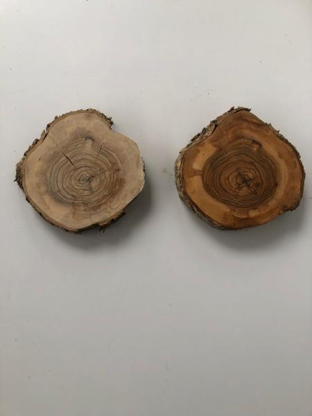 2er Set Olivenholzquerschnitte / Olivenbaumscheiben Art.Nr 182