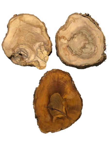 3er Set Olivenholzscheiben/Olivenholzquerschnitte Art.Nr. 189