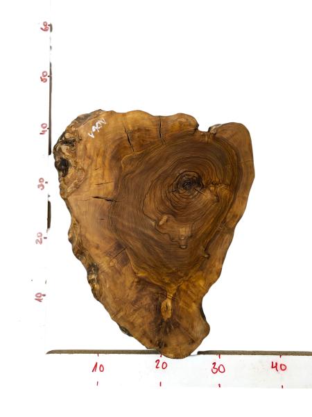 Bezaubernde, fertig geschliffene und geölte Scheibe vom Olivenbaum, ideal für individuelle Projekte.