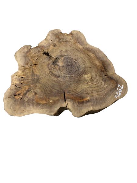 Kammergetrockneter Querschnitt vom Olivenbaum mit einzigartiger Form und Farbnuancen, ideal für individuelle Projekte.