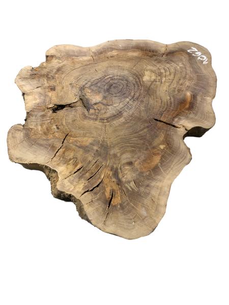 Kammergetrockneter Querschnitt vom Olivenbaum mit einzigartiger Form und Farbnuancen, ideal für individuelle Projekte.