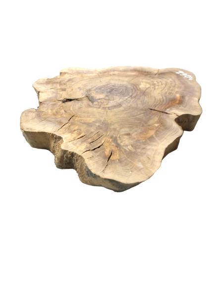 Kammergetrockneter Querschnitt vom Olivenbaum mit einzigartiger Form und Farbnuancen, ideal für individuelle Projekte.