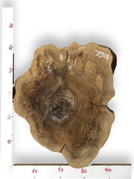 Kammergetrockneter Querschnitt vom Olivenbaum mit einzigartiger Form und Farbnuancen, ideal für individuelle Projekte.