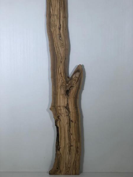 Über 2 Meter langes Olivenholz Brett mit Baumoptik – ideal für den Bau von Tischen oder Dekorationen.