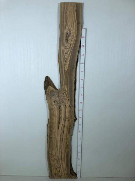 Über 2 Meter langes Olivenholz Brett mit Baumoptik – ideal für den Bau von Tischen oder Dekorationen.