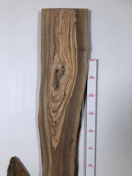 Über 2 Meter langes Olivenholz Brett mit Baumoptik – ideal für den Bau von Tischen oder Dekorationen.
