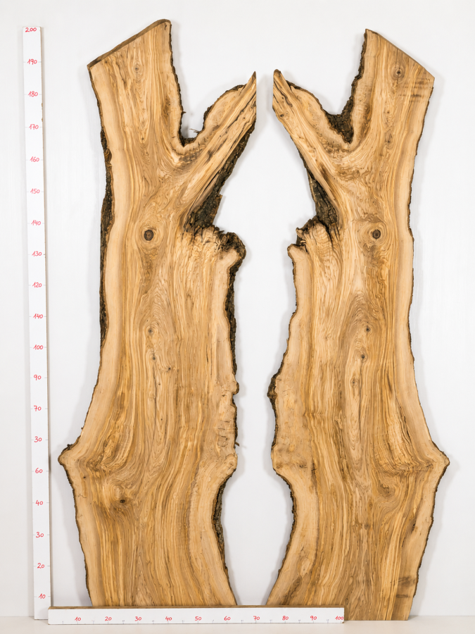 XXL Olivenholzbohlen 2er Set 203 x 120 x 4,3 cm – Trockenes Olivenholz Rohware XXL Tischplatten - B607