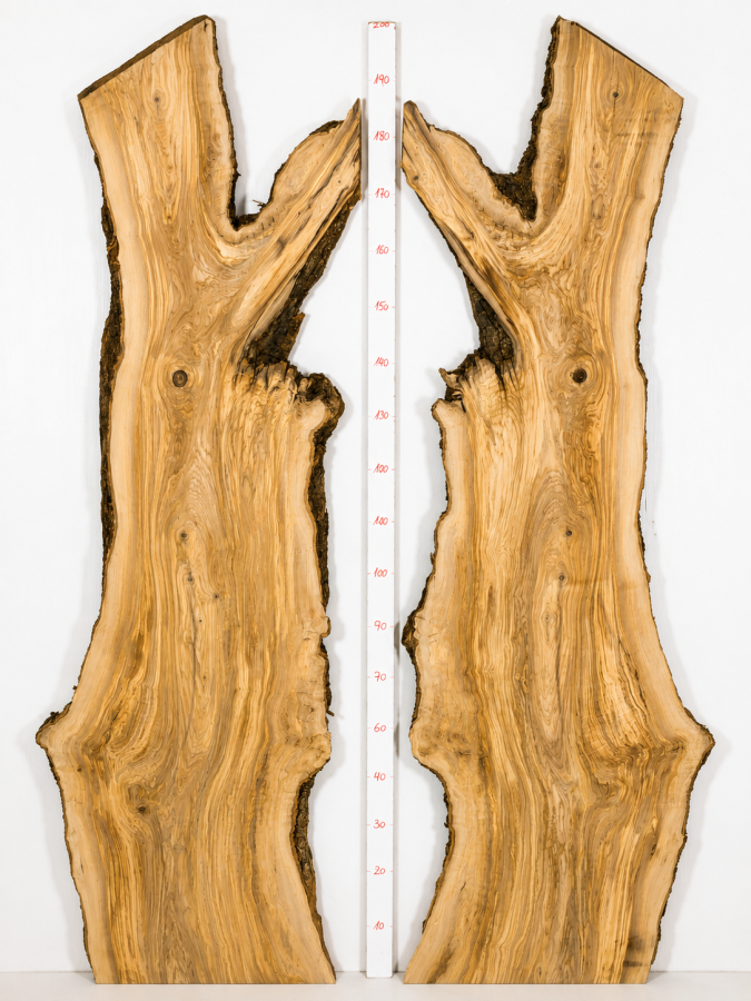 XXL Olivenholzbohlen 2er Set 203 x 120 x 4,3 cm – Trockenes Olivenholz Rohware XXL Tischplatten - B607