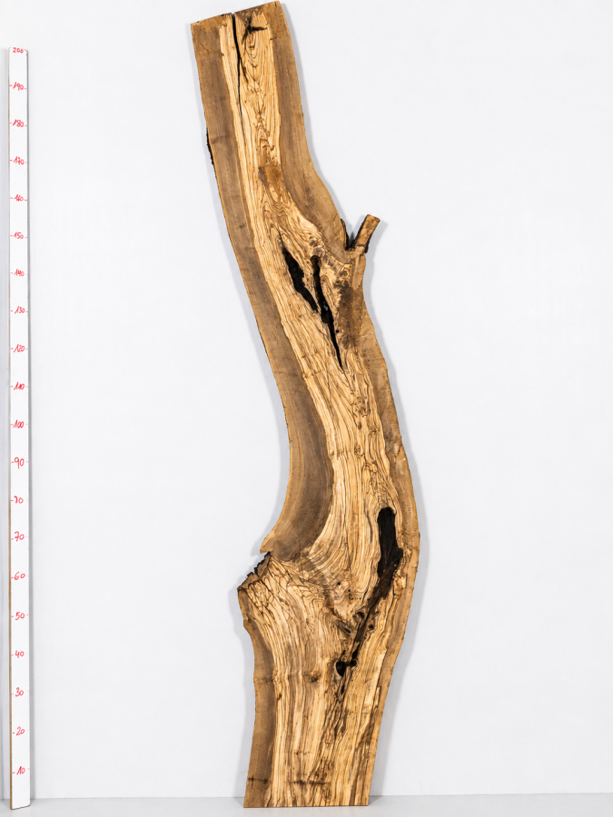 Olivenholzbohle 207,5–213 x 24–64 x 4 cm – Trockenes Olivenholz Rohware Baumoptik - B643