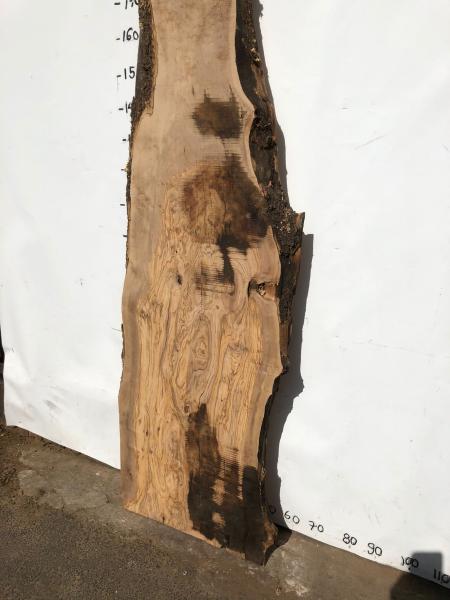 Große Olivenholz Bohle – perfekt für den Bau von Theken, Esstischen oder Arbeitsplatten.