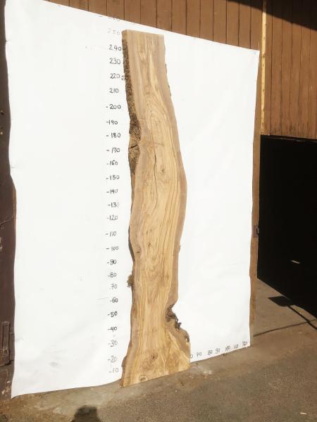 Große Olivenholz Bohle – ideal für den Bau von Theken, Esstischen oder Arbeitsplatten.