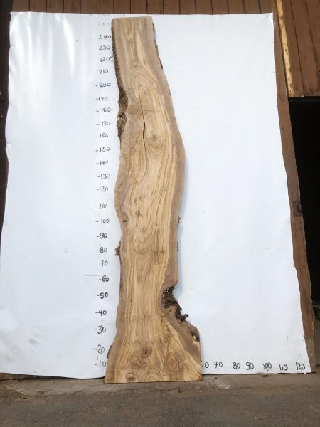 Große Olivenholz Bohle – ideal für den Bau von Theken, Esstischen oder Arbeitsplatten.