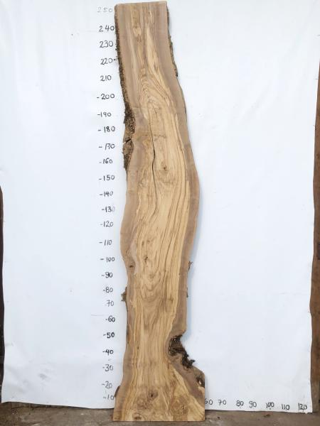 Große Olivenholz Bohle – ideal für den Bau von Theken, Esstischen oder Arbeitsplatten.