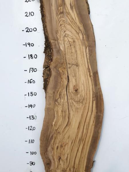 Große Olivenholz Bohle – ideal für den Bau von Theken, Esstischen oder Arbeitsplatten.