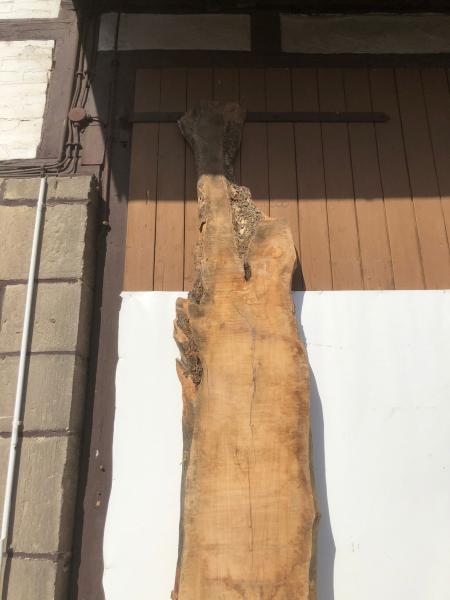 Beeindruckende Olivenholz Bohle – ideal für Tresen, Tische oder Theken