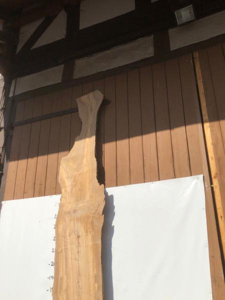 Beeindruckende Olivenholz Bohle – ideal für Tresen, Tische oder Theken