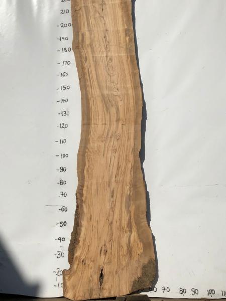 Beeindruckende Olivenholz Bohle – ideal für Tresen, Tische oder Theken