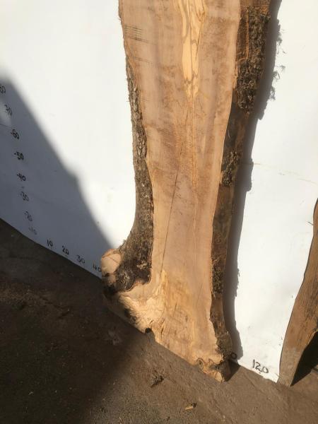 Große Olivenholz Bohle – ideal für den Bau von Esstischen, Theken oder Arbeitsplatten.