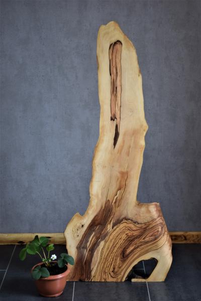 Handgeschnitzter Olivenholz "Dino"  Dieses einzigartige Olivenholz-Dekoelement besticht durch seine beeindruckende Maserung und geschwungene Form. Besonders hervorzuheben ist die elegante Kante am unteren Rand, die dem Dino seinen charmanten Charakter ver