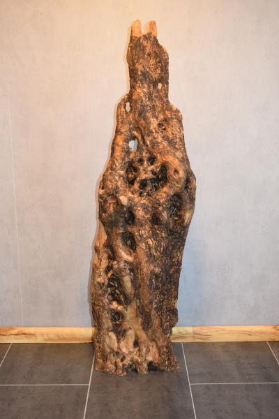 Olivenbaum Olivenholz Dekoration mit Rinde