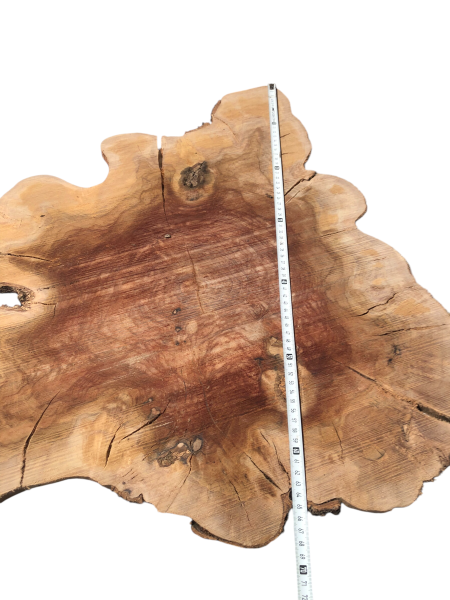 Dünne XXL-Olivenbaum-Scheiben (12–14 mm) – 380–400 Jahre alt & ideal für kreative DIY-Projekte 1224