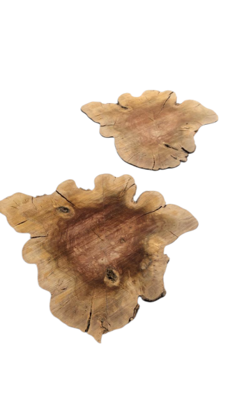 Dünne XXL-Olivenbaum-Scheiben (12–14 mm) – 380–400 Jahre alt & ideal für kreative DIY-Projekte 1224