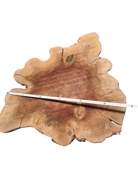 Dünne XXL-Olivenbaum-Scheiben (12–14 mm) – 380–400 Jahre alt & ideal für kreative DIY-Projekte 1224