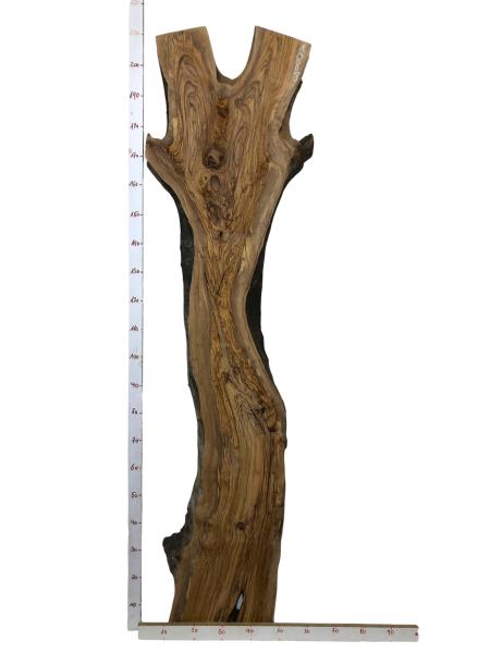 Große, beeindruckende Olivenholz Bohle – ideal für den Bau von Tischen, Theken oder Tresen.