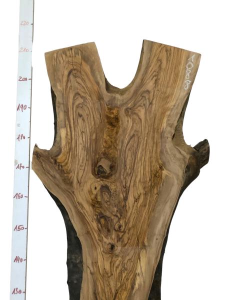 Große, beeindruckende Olivenholz Bohle – ideal für den Bau von Tischen, Theken oder Tresen.