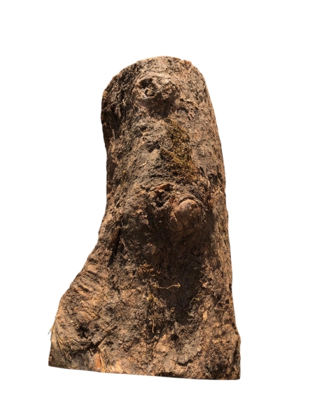 Knorriges und voll massives Olivenholz-Stammstück 344
