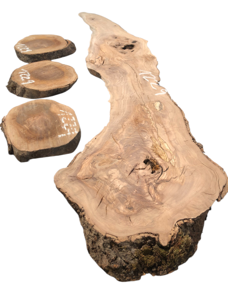 Kreatives Bastel- & Gestaltungset aus Olivenholz – Natürlich geformtes Brett & drei Baumscheiben 1229