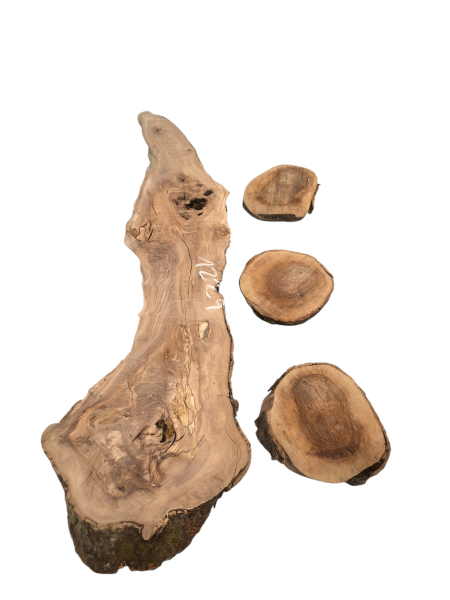 Kreatives Bastel- & Gestaltungset aus Olivenholz – Natürlich geformtes Brett & drei Baumscheiben 1229