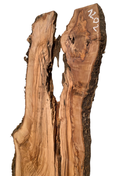 197 cm Olivenholz Bohle mit Löchern und Rissen - ideal für Epoxidharz-Projekte u.V.m. Nr. 1202